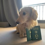 張雅玲 - @joyce_____king - Instagram