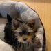 Joyce Cole Kirkpatrick - Facebook