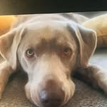 Jackie Chrz-Joyce Kish - @jmkish6137 - Instagram