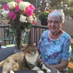Joyce Knudson - Facebook