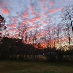 Joyce Knudson - @joyceknudson - Instagram