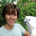 Joyce Koch - @koch5664 - Instagram