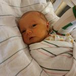 Joyce Will Koch - @joyce.e.will - Instagram
