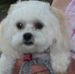 Joyce Koehler - Facebook