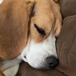 Joyce Lamont - @joycelamont5 - Instagram