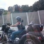 Joyce Landry - @catnaper520 - Instagram