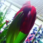 Joyce langer - @langer.joyce - Instagram