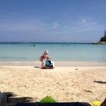 Joyce Laplante - @joycelap - Instagram