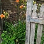 Joyce Larson - @winnifredlarson - Instagram