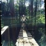 Joyce Larson - @joycelarson7296 - Instagram