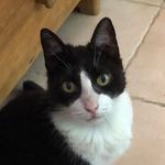 Joyce larson - @joycelarson967 - Instagram
