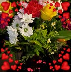 Joyce Lemieux - Facebook