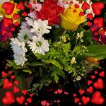 Joyce Lemieux - @joyce.lemieux.3 - Instagram