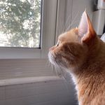 Joyce Lemon - @joycelemon66 - Instagram