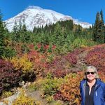 Joyce Stephenson Lenz - @jaslenz - Instagram