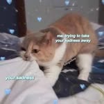 Joyce Leslie - @xjoyyyc - Instagram