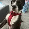 Joyce Leslie - @joyce.leslie7 - TikTok