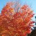 Diane Levesque-Joyce - Facebook