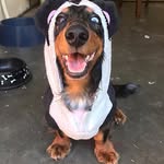 Joyce Lightsey - @joycealightsey - Instagram