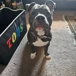 Joyce Lightsey - @joyce.lightsey - Instagram