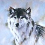 Joyce Locher - @joycelocher - Instagram