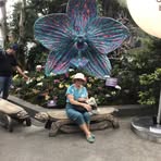 Joyce Lock - Facebook