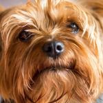 Joyce Loftis - @bike.life.88 - Instagram
