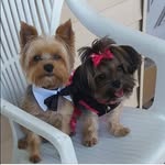 Joyce Lofton - @lofton9607 - Instagram