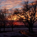 Joyce Lohr - @joycelohr - Instagram