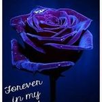 Joyce Lorenz - @jlorenz4200 - Instagram