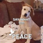 Joyce Louden - @louden.joyce - Instagram