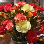Joyce Lovell - @joyce.lovell.3939 - Instagram