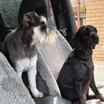 Joyce Lowe - @joyce.lowe.5 - Instagram