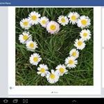 Joyce Lowe - @joyce.lowe.750 - Instagram