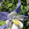 Joyce Lowe - @joyce.lowe4 - TikTok