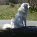 Joyce Lowell - Facebook