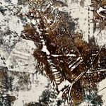 Joyce MacFarlane Art - @joyce_macfarlane_art - Instagram