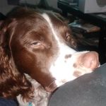 Joyce Herren Maggard - @jmagg4 - Instagram