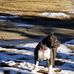 Joyce Josey Maggard - Facebook