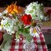 Joyce Maggard - Facebook