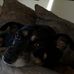 Joyce Maher - Facebook