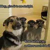 Joyce Mallory - @2184068995 - TikTok