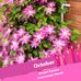 Joyce Mangus - Facebook