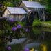 Joyce Mangus - Facebook