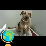 Joyce Mann - @joyce.mann.73 - Instagram
