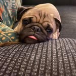 Joyce Mansfield - @jojoyce57 - Instagram