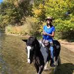 Joyce Mansfield Syftestad - @ajsyf - Instagram