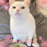 Joyce Maples - @joyce.maples.94043 - Instagram