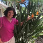 Joyce Ann Marek - @joyceannmarek - Instagram