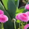 joycetmarlow14086 - @joycetmarlow14086 - TikTok